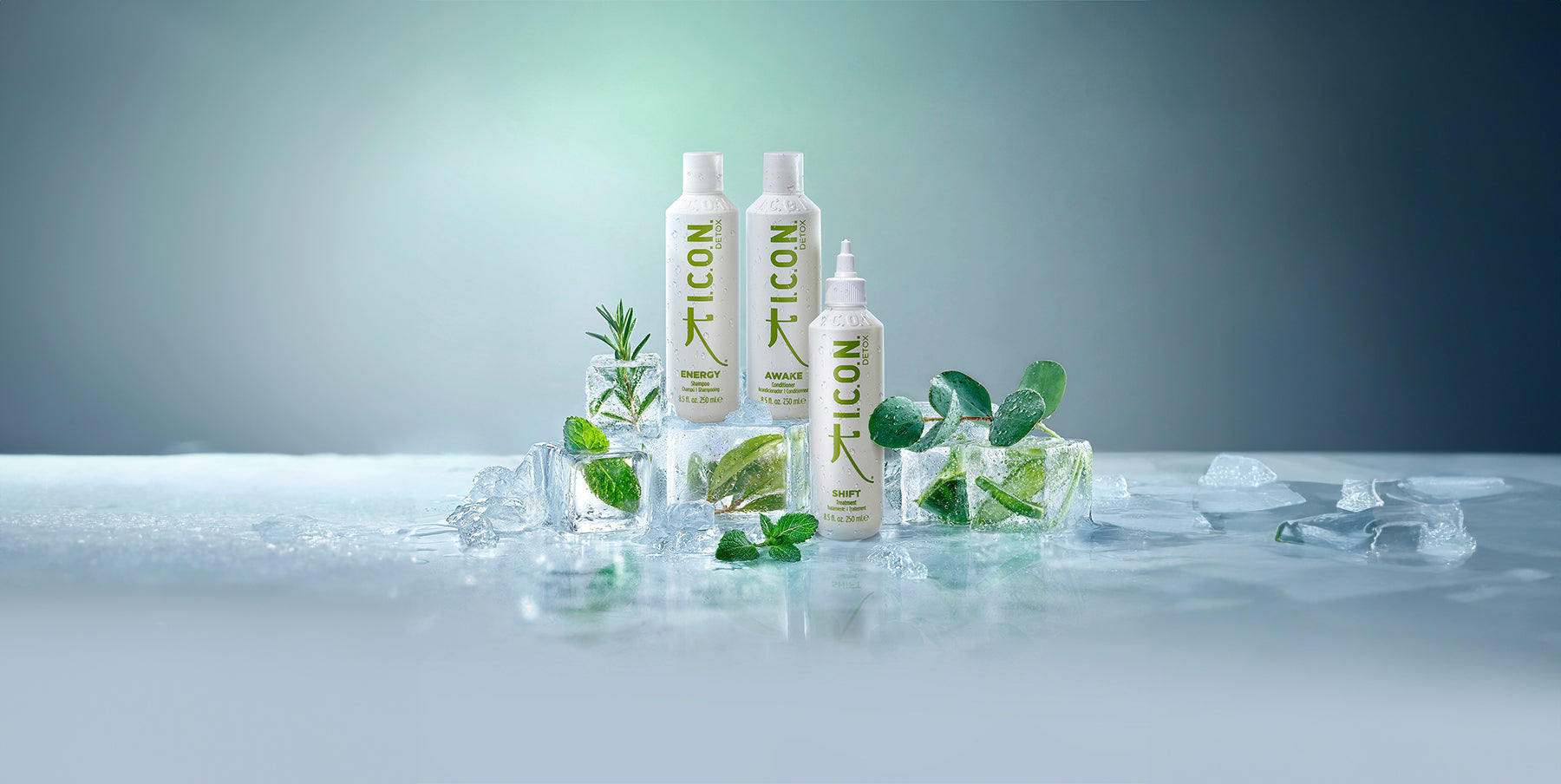 Cómo cuidar el cabello graso: Guía completa de productos y consejos profesionales
